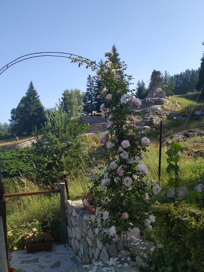 Емили Фемили Хаус Koprivştitsa Dış mekan fotoğraf